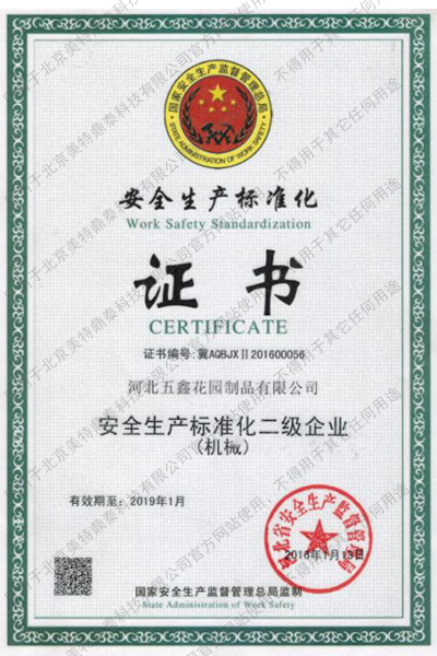 Safety Standardization Certificate Level 2